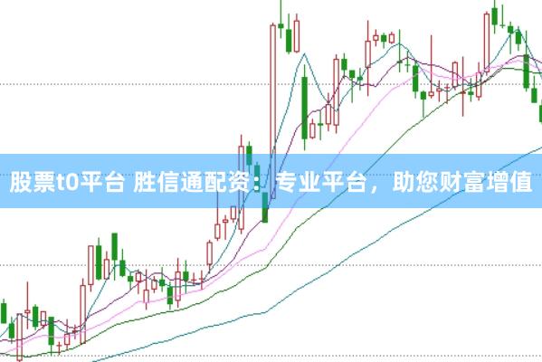 股票t0平台 胜信通配资：专业平台，助您财富增值