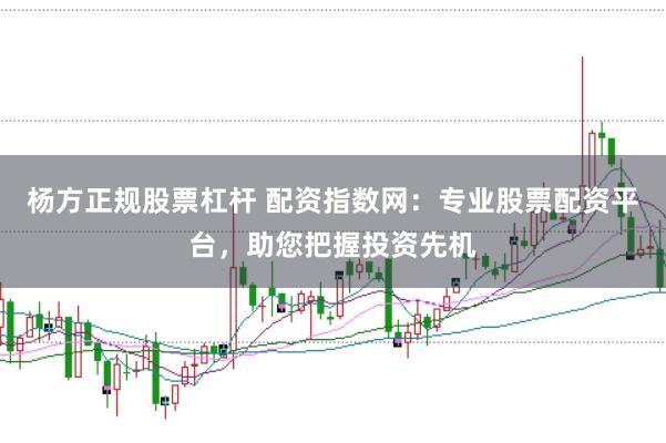 杨方正规股票杠杆 配资指数网：专业股票配资平台，助您把握投资先机
