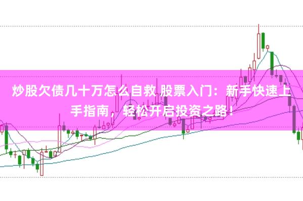 炒股欠债几十万怎么自救 股票入门：新手快速上手指南，轻松开启投资之路！