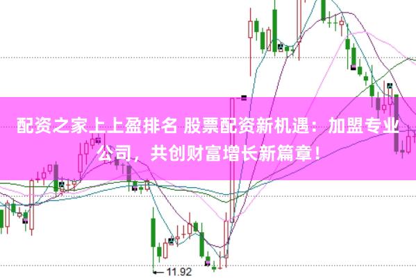 配资之家上上盈排名 股票配资新机遇：加盟专业公司，共创财富增长新篇章！