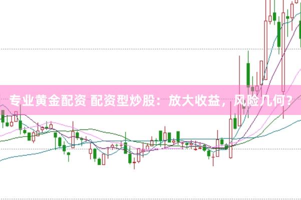 专业黄金配资 配资型炒股：放大收益，风险几何？