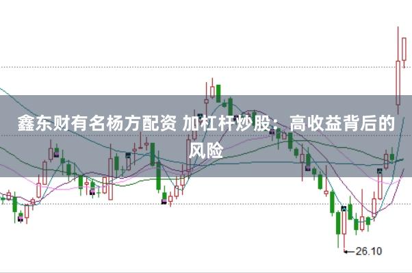 鑫东财有名杨方配资 加杠杆炒股：高收益背后的风险
