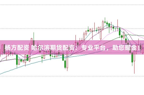 杨方配资 哈尔滨期货配资：专业平台，助您掘金！