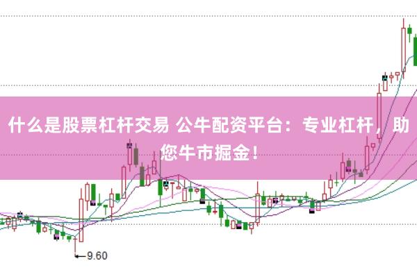 什么是股票杠杆交易 公牛配资平台：专业杠杆，助您牛市掘金！